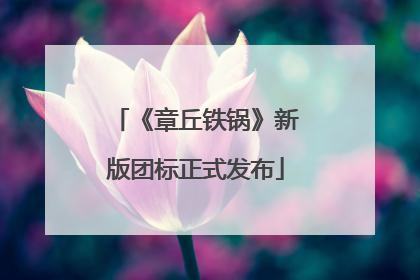 《章丘铁锅》新版团标正式发布