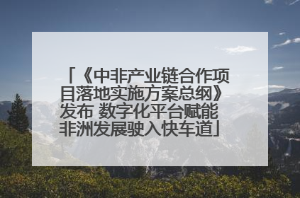 《中非产业链合作项目落地实施方案总纲》发布 数字化平台赋能非洲发展驶入快车道