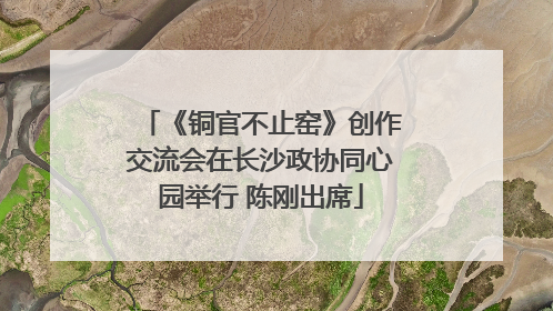 《铜官不止窑》创作交流会在长沙政协同心园举行 陈刚出席