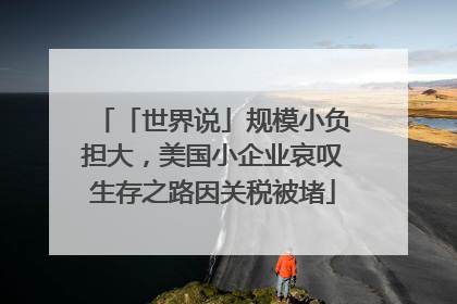 「世界说」规模小负担大，美国小企业哀叹生存之路因关税被堵