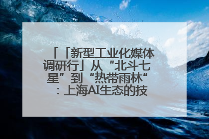 「新型工业化媒体调研行」从“北斗七星”到“热带雨林”：上海AI生态的技术商业共生密码