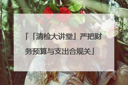 「清检大讲堂」严把财务预算与支出合规关
