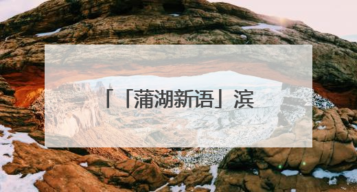 「蒲湖新语」滨州市博兴县：以“小切口”做好数字惠民“大文章”