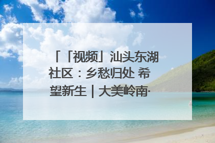 「视频」汕头东湖社区：乡愁归处 希望新生｜大美岭南·百村焕新记