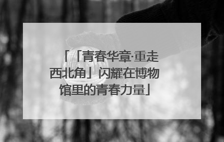 「青春华章·重走西北角」闪耀在博物馆里的青春力量