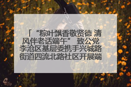 “粽叶飘香敬贤德 清风伴老话端午” 致公党李沧区基层委携手兴城路街道四流北路社区开展端午节主题活动