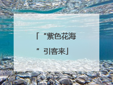 “紫色花海”引客来