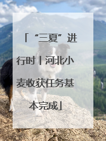 “三夏”进行时丨河北小麦收获任务基本完成