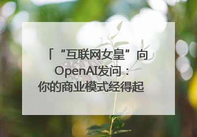 “互联网女皇”向OpenAI发问：你的商业模式经得起价格战考验么？