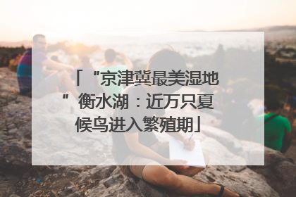 “京津冀最美湿地”衡水湖：近万只夏候鸟进入繁殖期