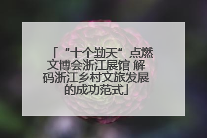 “十个勤天”点燃文博会浙江展馆 解码浙江乡村文旅发展的成功范式