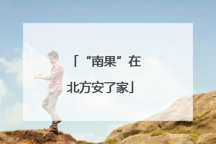 “南果”在北方安了家