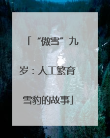 “傲雪”九岁：人工繁育雪豹的故事