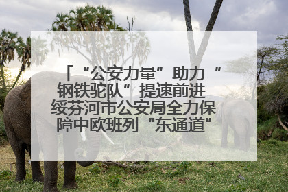 “公安力量”助力“钢铁驼队”提速前进 绥芬河市公安局全力保障中欧班列“东通道”绥芬河隧道贯通