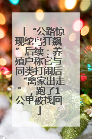 “公路惊现鸵鸟狂飙”后续：养殖户称它与同类打闹后“离家出走”，跑了1公里被找回