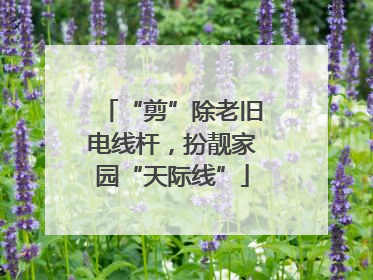 “剪”除老旧电线杆，扮靓家园“天际线”