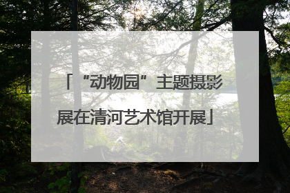 “动物园”主题摄影展在清河艺术馆开展