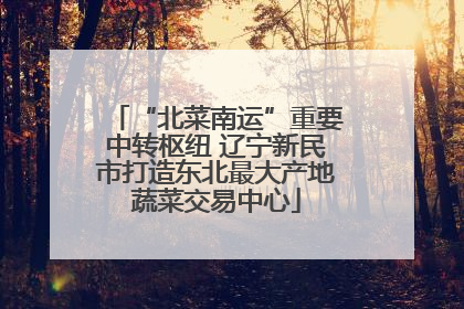 “北菜南运”重要中转枢纽 辽宁新民市打造东北最大产地蔬菜交易中心