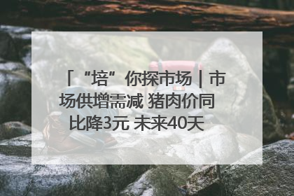 “培”你探市场｜市场供增需减 猪肉价同比降3元 未来40天便宜猪肉敞开吃