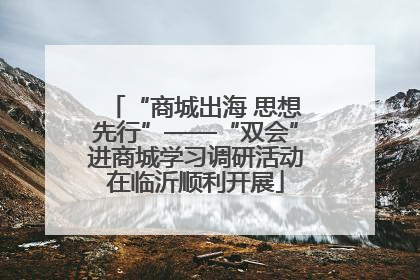 “商城出海 思想先行”——“双会”进商城学习调研活动在临沂顺利开展