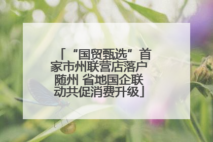 “国贸甄选”首家市州联营店落户随州 省地国企联动共促消费升级