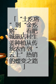 “土疙瘩”到“金疙瘩”，看肥城旅店村生姜种植从传统农作到“云上”热销的蝶变之路