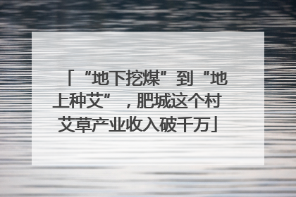 “地下挖煤”到“地上种艾”，肥城这个村艾草产业收入破千万