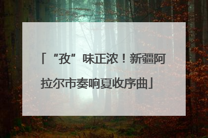 “孜”味正浓！新疆阿拉尔市奏响夏收序曲
