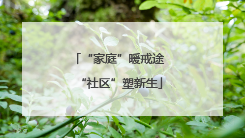“家庭”暖戒途 “社区”塑新生