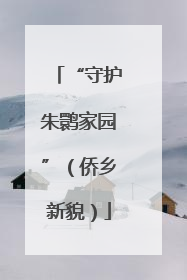 “守护朱鹮家园”（侨乡新貌）