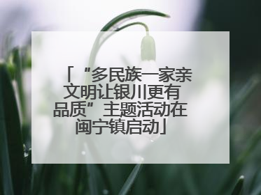 “多民族一家亲 文明让银川更有品质”主题活动在闽宁镇启动