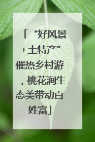 “好风景+土特产”催热乡村游，桃花涧生态美带动百姓富