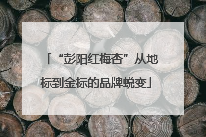 “彭阳红梅杏”从地标到金标的品牌蜕变