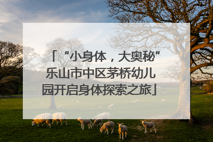 “小身体，大奥秘” 乐山市中区茅桥幼儿园开启身体探索之旅