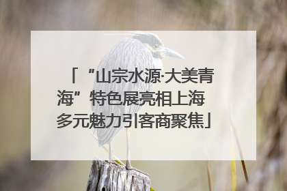 “山宗水源·大美青海”特色展亮相上海 多元魅力引客商聚焦