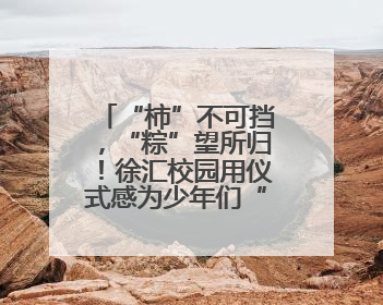 “柿”不可挡，“粽”望所归！徐汇校园用仪式感为少年们“充能”
