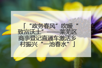 “政务春风”吹暖“致富沃土”——莱芜区商事登记直通车激活乡村振兴“一池春水”