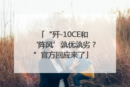 “歼-10CE和‘阵风’孰优孰劣？”官方回应来了