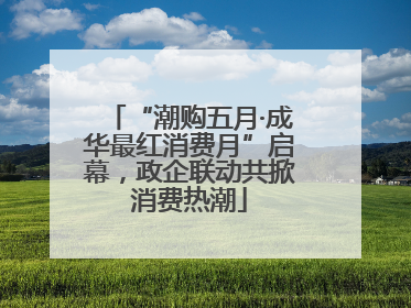 “潮购五月·成华最红消费月”启幕，政企联动共掀消费热潮