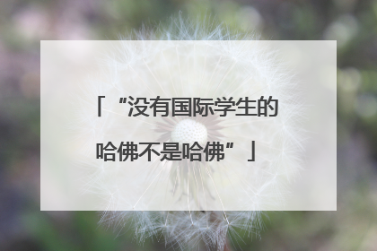 “没有国际学生的哈佛不是哈佛”