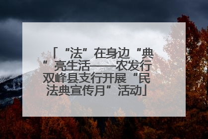 “法”在身边“典”亮生活——农发行双峰县支行开展“民法典宣传月”活动