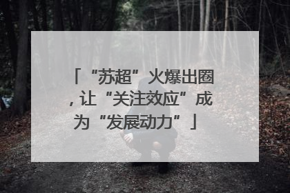 “苏超”火爆出圈，让“关注效应”成为“发展动力”