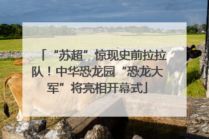 “苏超”惊现史前拉拉队！中华恐龙园“恐龙大军”将亮相开幕式