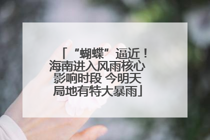 “蝴蝶”逼近！海南进入风雨核心影响时段 今明天局地有特大暴雨