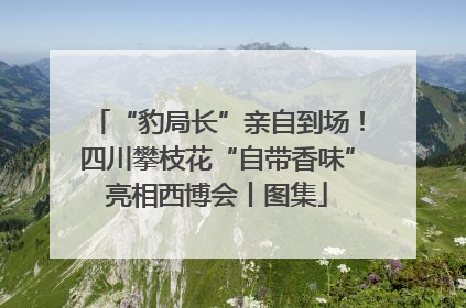 “豹局长”亲自到场！四川攀枝花“自带香味”亮相西博会丨图集
