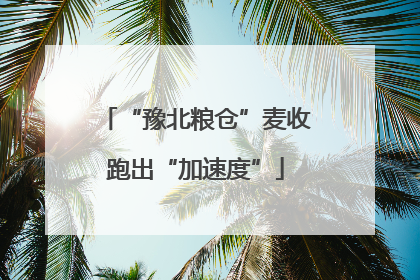 “豫北粮仓”麦收跑出“加速度”