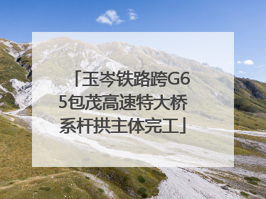 玉岑铁路跨G65包茂高速特大桥系杆拱主体完工