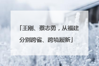 王刚、蔡志勇，从福建分别跨省、跨境履新