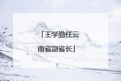 王学勤任云南省副省长