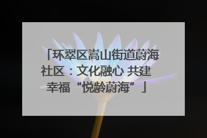 环翠区嵩山街道蔚海社区：文化融心 共建幸福“悦龄蔚海”